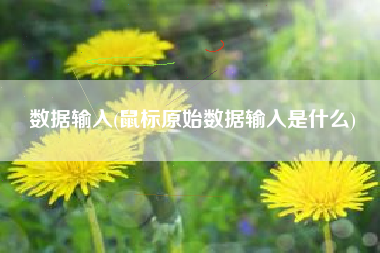 数据输入(鼠标原始数据输入是什么)