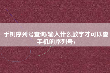 手机序列号查询(输入什么数字才可以查手机的序列号)