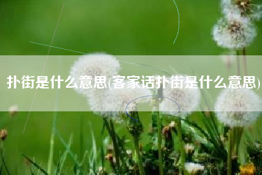 扑街是什么意思(客家话扑街是什么意思)