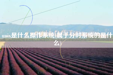 unix是什么操作系统(属于分时系统的是什么)