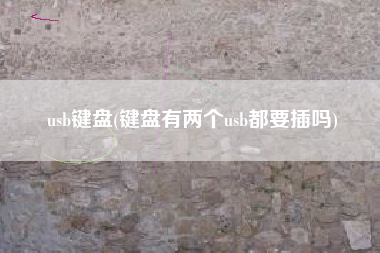 usb键盘(键盘有两个usb都要插吗)