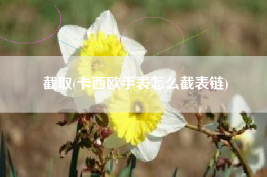 截取(卡西欧手表怎么截表链)