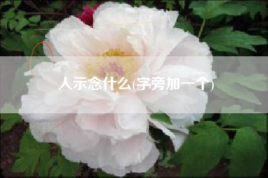 人示念什么(字旁加一个)