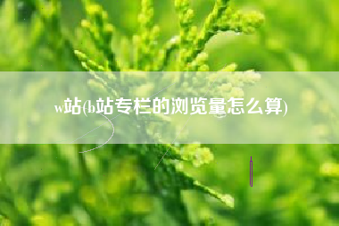 w站(b站专栏的浏览量怎么算)