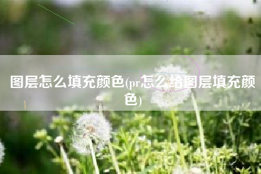 图层怎么填充颜色(pr怎么给图层填充颜色)