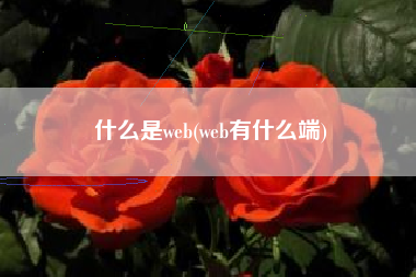什么是web(web有什么端)