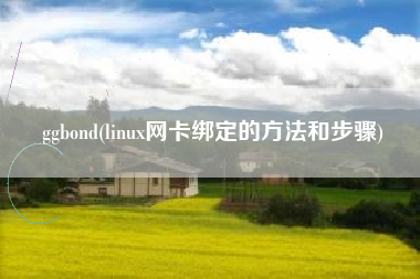 详细阅读:ggbond(linux网卡绑定的方法和步骤) ggbond(linux网卡绑定的方法和步骤)
