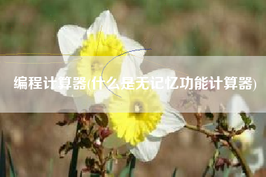 编程计算器(什么是无记忆功能计算器)
