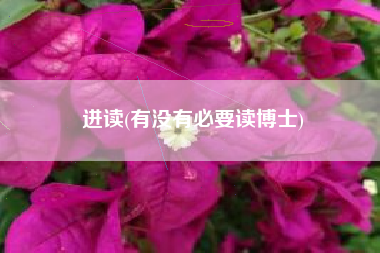 进读(有没有必要读博士)