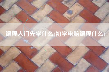 编程入门先学什么(初学电脑编程什么)