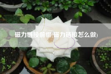 磁力链接前缀(磁力链接怎么做)