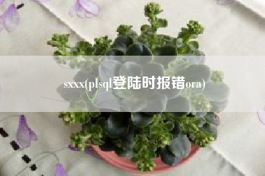 sxxx(plsql登陆时报错ora)