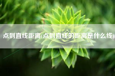 点到直线距离(点到直线的距离是什么线)