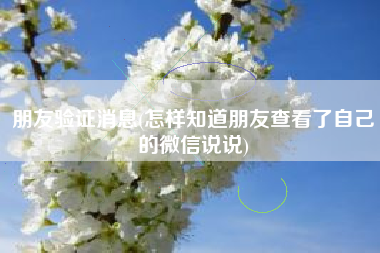 朋友验证消息(怎样知道朋友查看了自己的微信说说)
