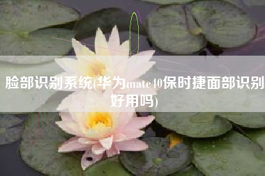 脸部识别系统(华为mate40保时捷面部识别好用吗)