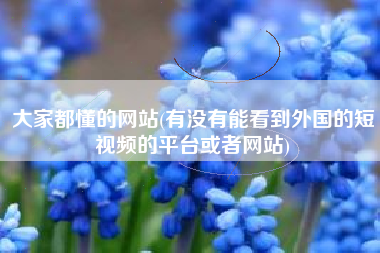 大家都懂的网站(有没有能看到外国的短视频的平台或者网站)
