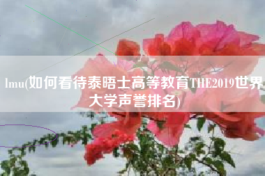 lmu(如何看待泰晤士高等教育THE2019世界大学声誉排名)