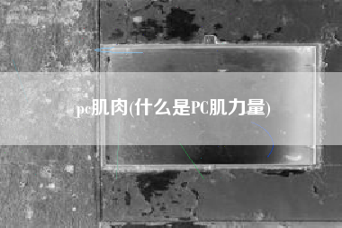 pc肌肉(什么是PC肌力量)