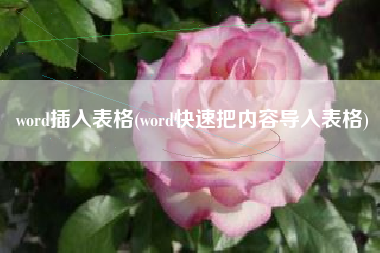 word插入表格(word快速把内容导入表格)