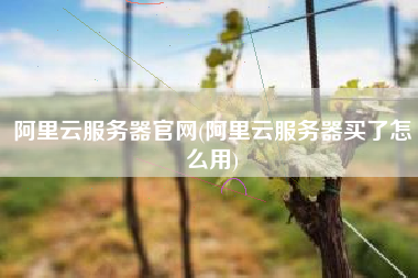 阿里云服务器官网(阿里云服务器买了怎么用)