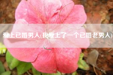 爱上已婚男人(我爱上了一个已婚老男人)