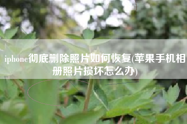 iphone彻底删除照片如何恢复(苹果手机相册照片损坏怎么办)