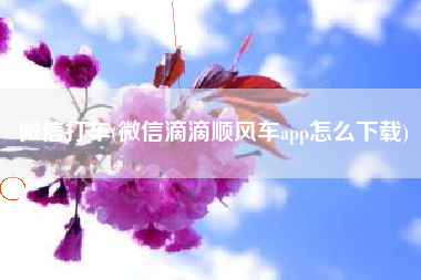 微信打车(微信滴滴顺风车app怎么下载)