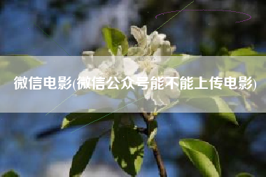 微信电影(微信公众号能不能上传电影)