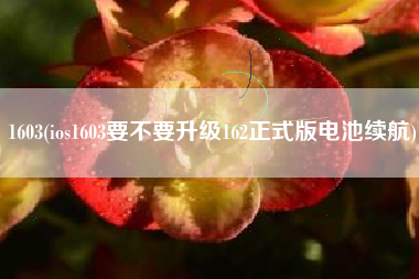 1603(ios1603要不要升级162正式版电池续航)