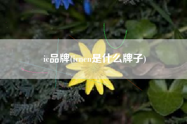 ic品牌(icnen是什么牌子)