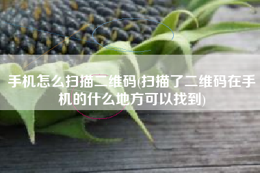 手机怎么扫描二维码(扫描了二维码在手机的什么地方可以找到)