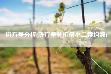 协方差分析(协方差分析最小二乘均数)