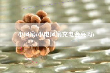 小风扇(小电风扇充电会亮吗)