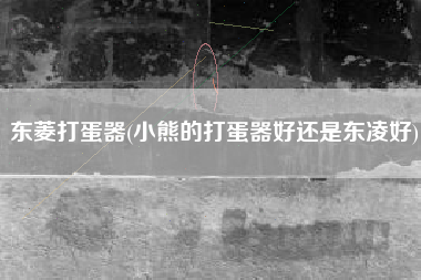 东菱打蛋器(小熊的打蛋器好还是东凌好)