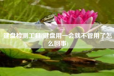 键盘检测工具(键盘用一会就不管用了怎么回事)