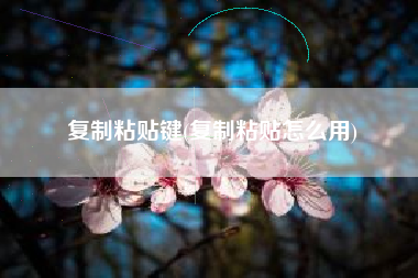 复制粘贴键(复制粘贴怎么用)