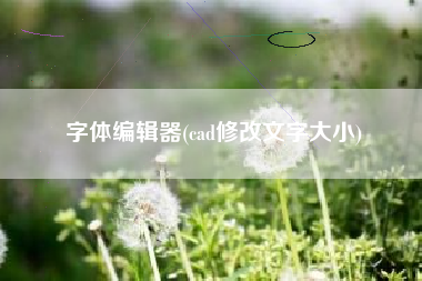 字体编辑器(cad修改文字大小)