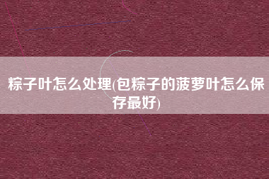粽子叶怎么处理(包粽子的菠萝叶怎么保存最好)