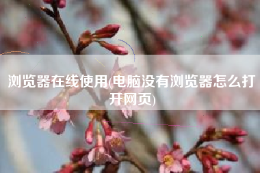 浏览器在线使用(电脑没有浏览器怎么打开网页)