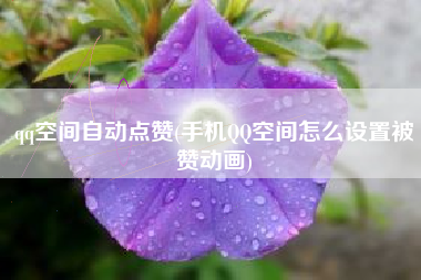 qq空间自动点赞(手机QQ空间怎么设置被赞动画)