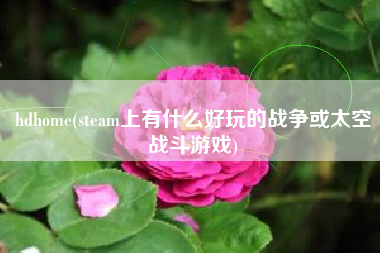 hdhome(steam上有什么好玩的战争或太空战斗游戏)