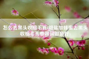 怎么去黑头收缩毛孔(细盐加蜂蜜去黑头收缩毛孔要如何做最好)