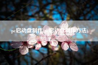 pe启动盘制作(pe启动盘制作方法)