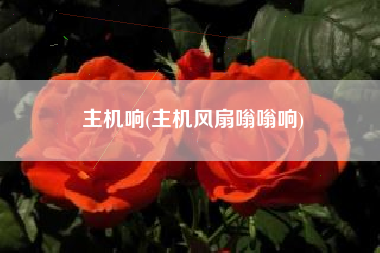 主机响(主机风扇嗡嗡响)