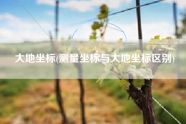 大地坐标(测量坐标与大地坐标区别)