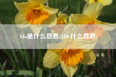 ldo是什么意思(240v什么意思)
