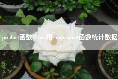 product函数(Excel用sumproduct函数统计数据)