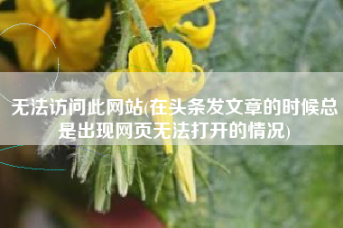 无法访问此网站(在头条发文章的时候总是出现网页无法打开的情况)