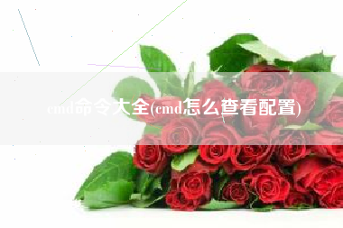 cmd命令大全(cmd怎么查看配置)