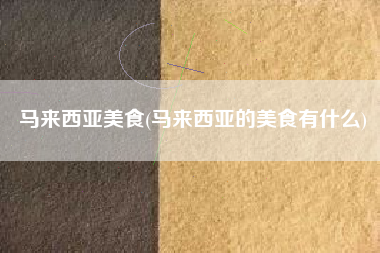 马来西亚美食(马来西亚的美食有什么)
